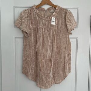 LOFT Beige Short Sleeve Crushed Velvet Blouse